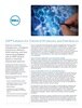 sap-solution-specialty-chemi.pdf