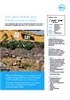 Click here to read PDF