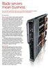Blade servers mean business
