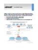 How eSMART Works
