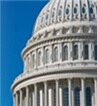 Federal Government Services