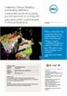 Click here to read PDF