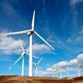 Thumbnail image of a wind farm