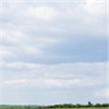 ERP in the Cloud