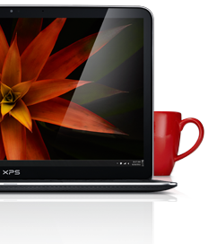 17 inch screen laptops and up