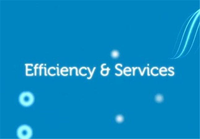 IT Efficiency