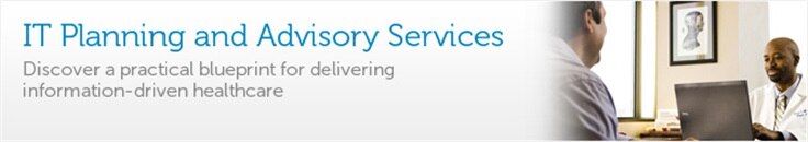 IT Planning and Advisory Services