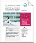 View the full article as a PDF