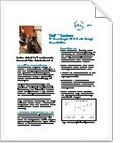 View the full article as a PDF