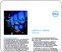 Click here to read PDF