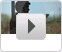 Dell_Launches_Social_Media_Services.jpg