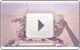 rmhs-deliver-assistive-technology-vets.jpg