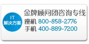 IT解决方案金牌顾问团