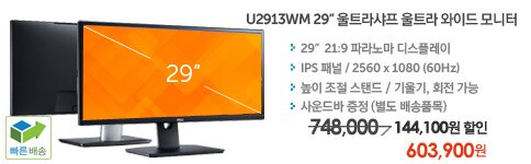 델 모니터