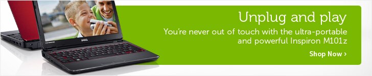 Dell Inspiron M101z Laptops
