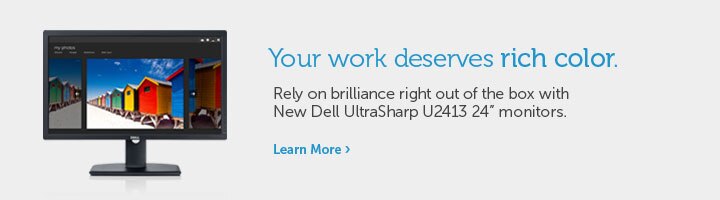 Monitor U2413