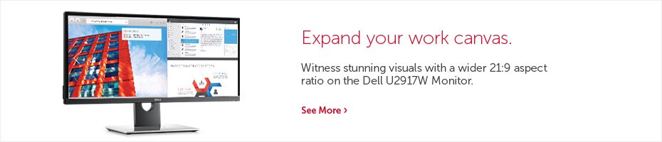 Dell Monitors