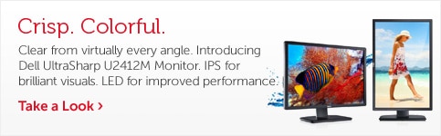Monitor U2412M