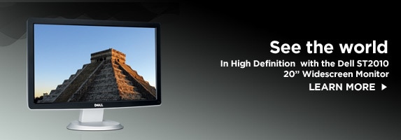 Dell ST 2010 monitor