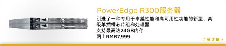 Dell 服务器