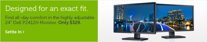 Dell P2412H Monitor