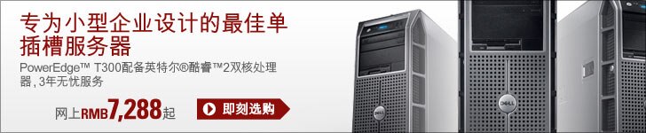 PowerEdge T300 服务器