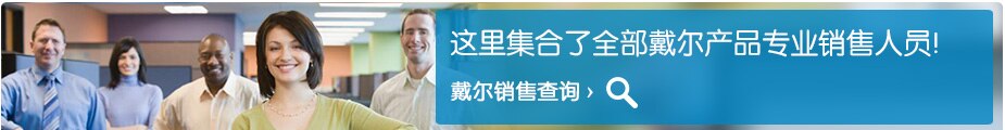 戴尔销售查询