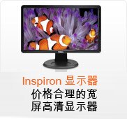 Inspiron 显示器