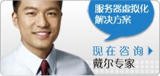 虚拟化软件 - 联系戴尔虚拟化专家