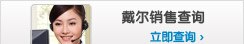 戴尔销售查询