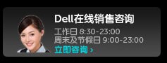 Dell在线销售咨询