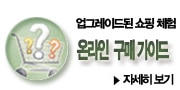 온라인 가이드