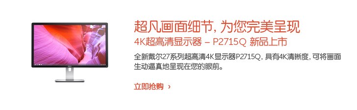 戴尔Professional显示器