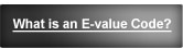 What is an E-value Code?