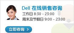 Dell 在线销售咨询：