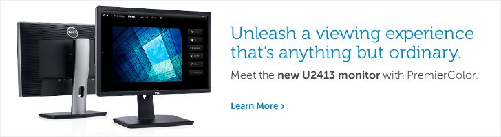 U2413 Monitor