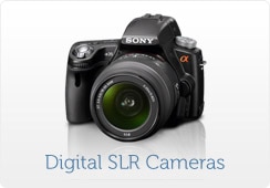 Digital SLR Cameras