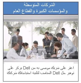 الشركات المتوسطة والمؤسسات الكبيرة والقطاع العام