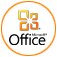 Ms Office 2010