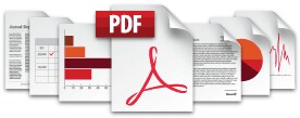 PDF