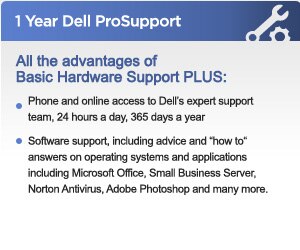1 Year Dell Pro Support