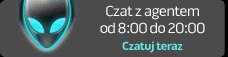 Czat z agentem