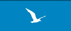 Dell Services