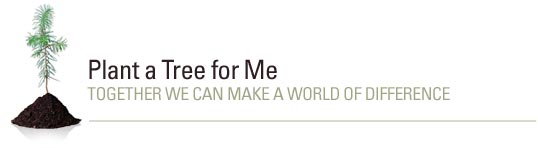 Plant a Tree for Me. Frequently Asked Questions