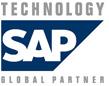 Dell Partner Logo