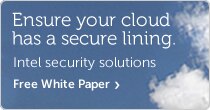 Intel cloud Security