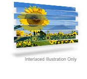 Interlaced video - Illustration Only