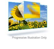Progressive video - Illustration
