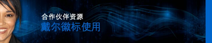 戴尔徽标使用