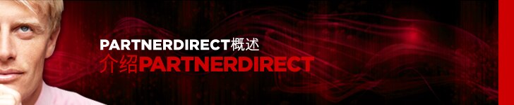 介绍 PartnerDirect